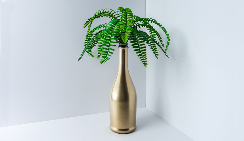 Eine golden lackierte Sektflasche dient als Vase für einen Farn.