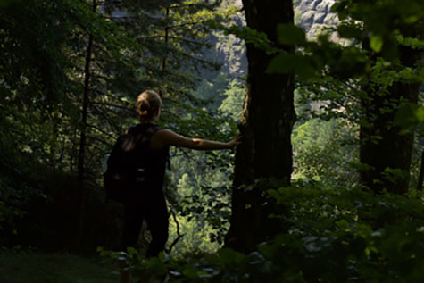 Eine Frau steht im Wald in den Bergen an einen Baum gelehnt und schaut in die Ferne.