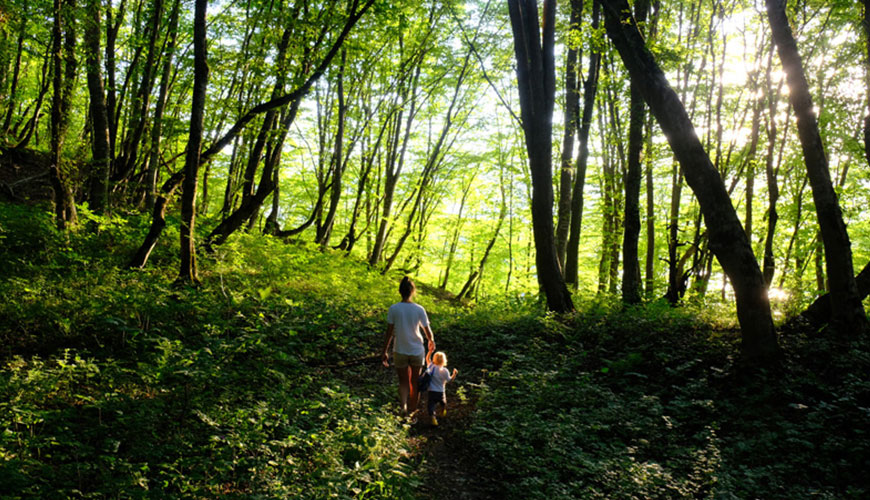Eine Mutter mit ihrem Kind läuft durch einen sehr grünen Wald